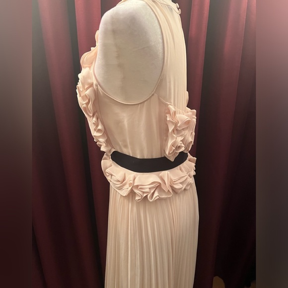 Stunning Cocktail Dress - Picture 5 of 5